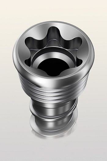 Bild 2 Torx-Form