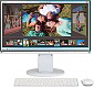 Eizo WS FlexScan EV2450W Business, Weiss Eizo WS FlexScan EV2450W Business, Weiss