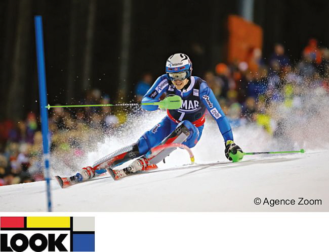 Hans Wittich GmbH - Look Skibindungen Hans Wittich GmbH - Look Skibindungen