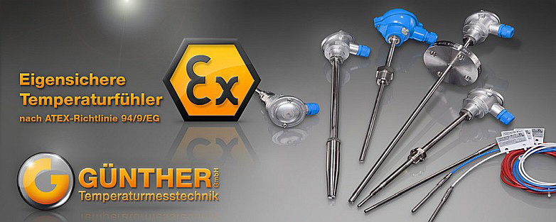 MTS - ATEX Fühler Bild 3 MTS - ATEX Fühler Bild 3