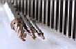 Mikron--CrazyMill-CoolP-S-slots Mikron--CrazyMill-CoolP-S-slots