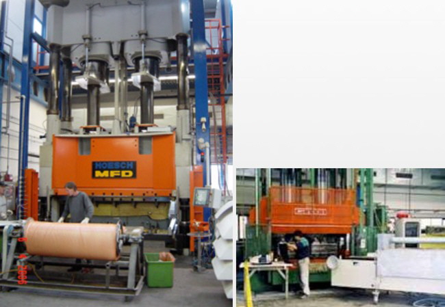 Polyplex AG - Hösch Polyplex AG - Hösch