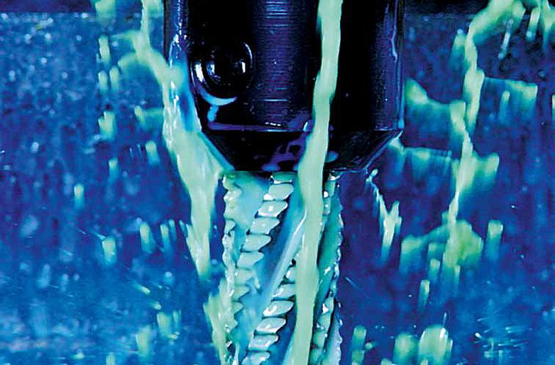 Triag - Hangsterfer‘s Bild 1 Triag - Hangsterfer‘s Bild 1